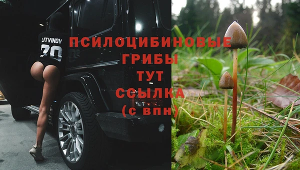 спайс Заволжье