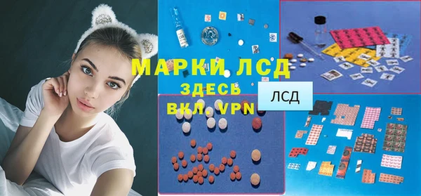 дживик Заводоуковск